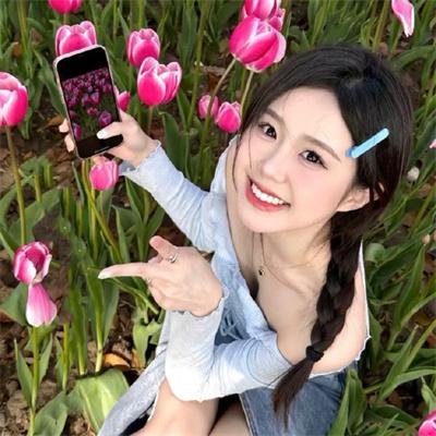 拳影人生